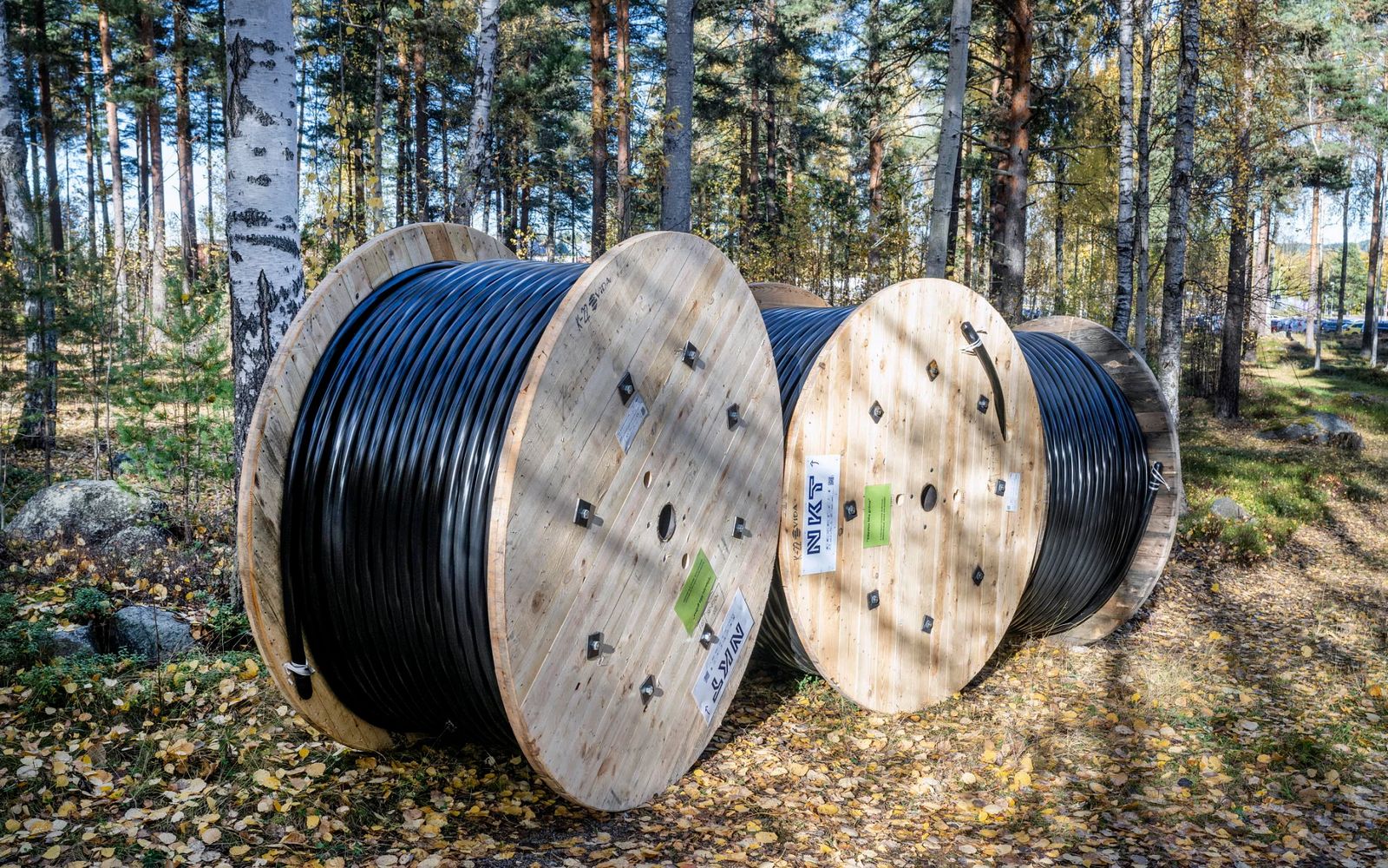 Cable drum woods forest outdoor