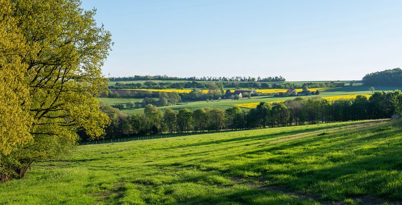green landscape trees fields