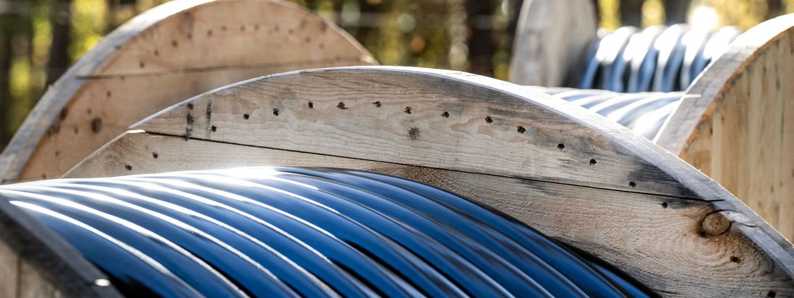 Cable drum woods forest outdoor