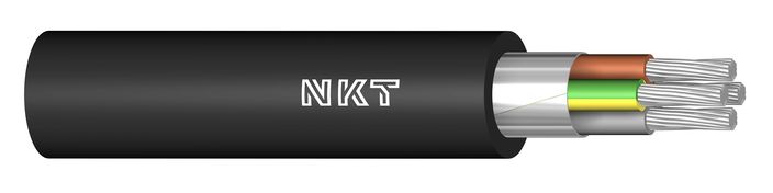Image of N1XV